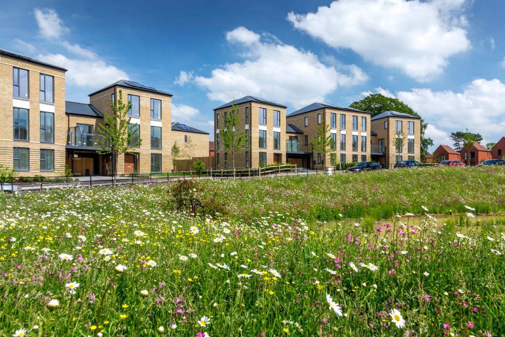 Barratts celebrate latest award for Cane Hill development Inside Croydon