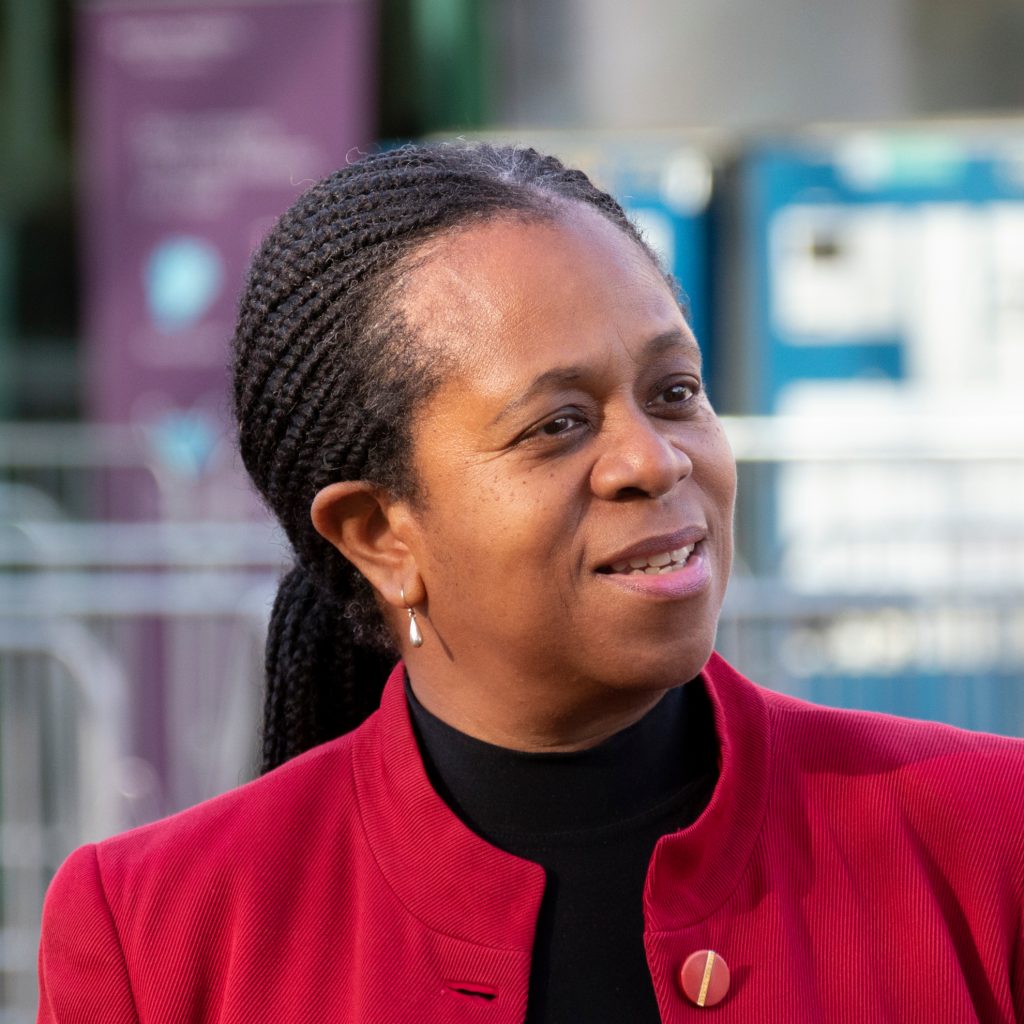 Patsy Stephen This is ‘democracy’ in Steve Reed’s Croydon Labour Party | Inside Croydon