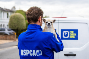 Spca Rescue Operations RSPCA is recruiting frontline animal rescue officers in London | Inside ...